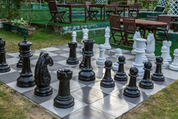 Σκακιστικές δραστηριότητες 2022-2023